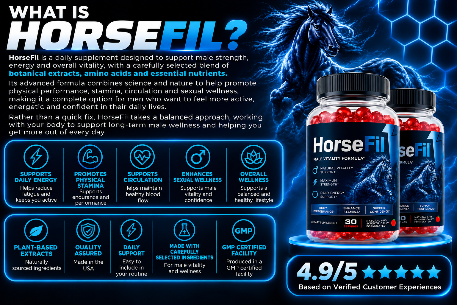 What is HorseFil concept image
